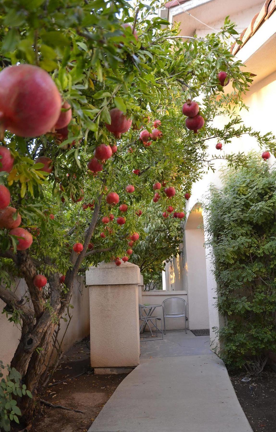 Hotel Garden And 3*